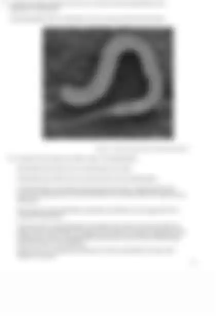 Blurred preview of the question