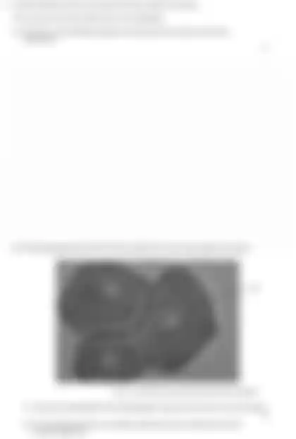 Blurred preview of the question