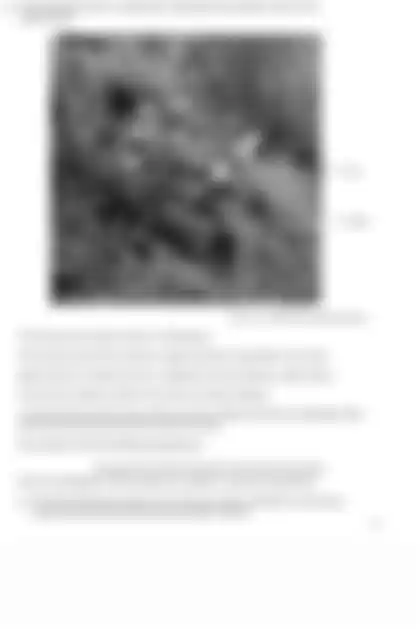 Blurred preview of the question