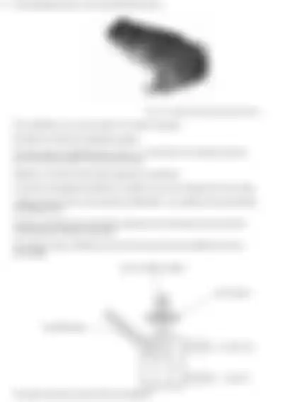 Blurred preview of the question