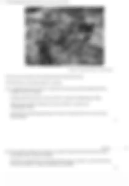 Blurred preview of the question