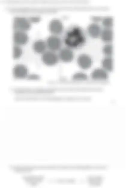 Blurred preview of the question