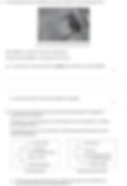 Blurred preview of the question