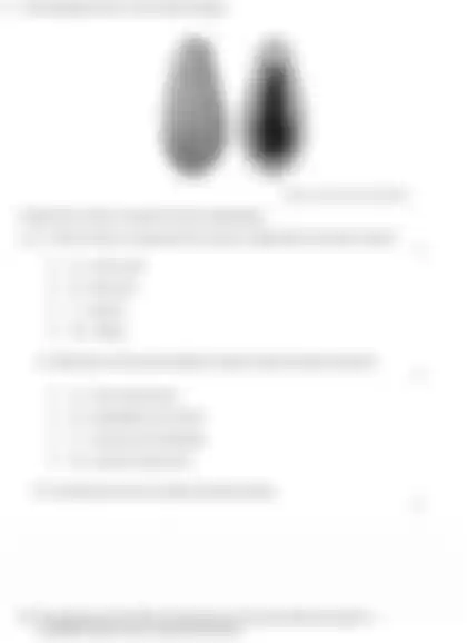 Blurred preview of the question