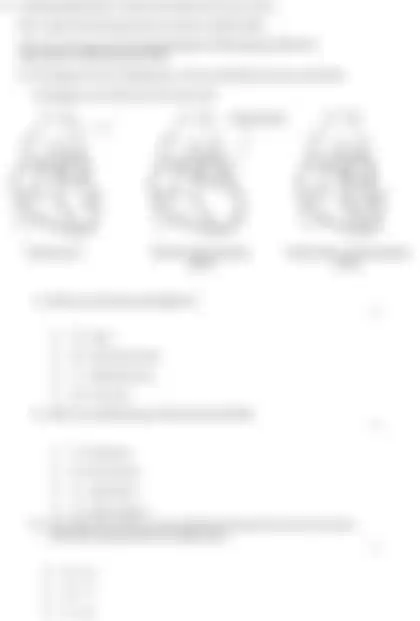 Blurred preview of the question