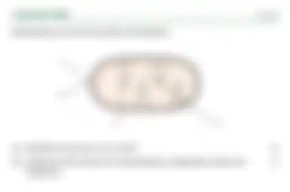 Blurred preview of the question
