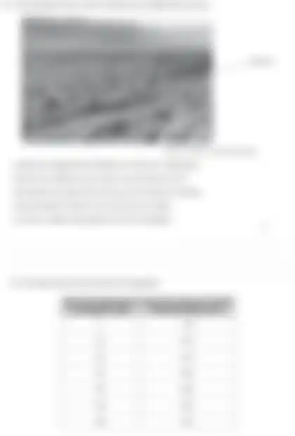 Blurred preview of the question