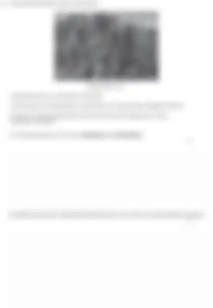 Blurred preview of the question